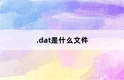 .dat是什么文件