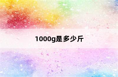 1000g是多少斤