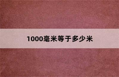 1000毫米等于多少米