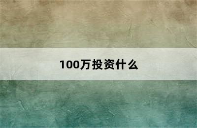 100万投资什么