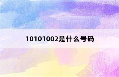 10101002是什么号码