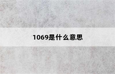 1069是什么意思