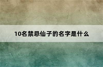 10名禁忌仙子的名字是什么