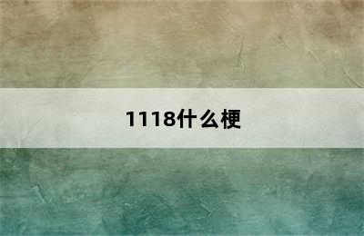 1118什么梗