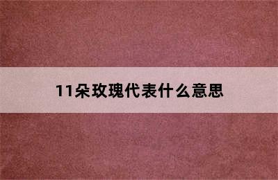 11朵玫瑰代表什么意思