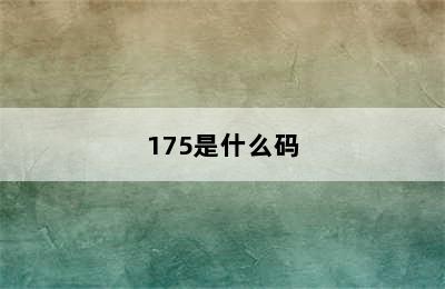 175是什么码