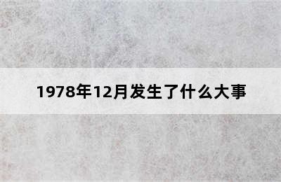 1978年12月发生了什么大事