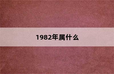 1982年属什么