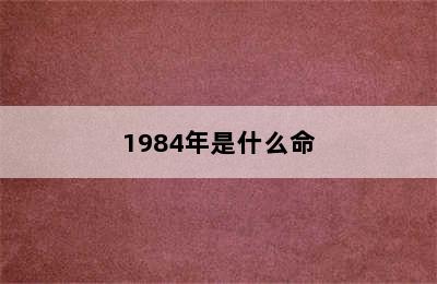 1984年是什么命