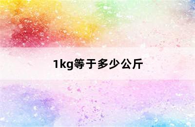 1kg等于多少公斤