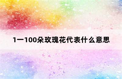 1一100朵玫瑰花代表什么意思