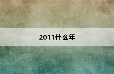 2011什么年