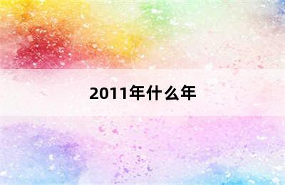 2011年什么年