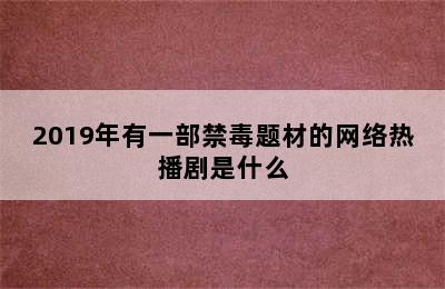 2019年有一部禁毒题材的网络热播剧是什么