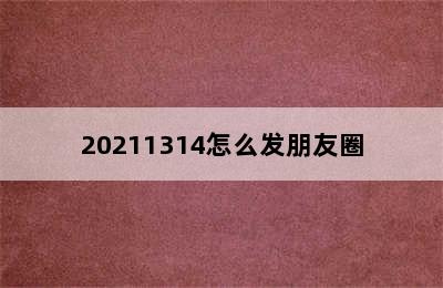 20211314怎么发朋友圈