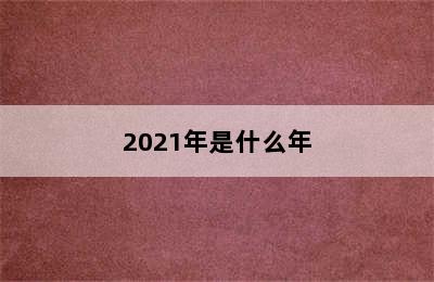 2021年是什么年