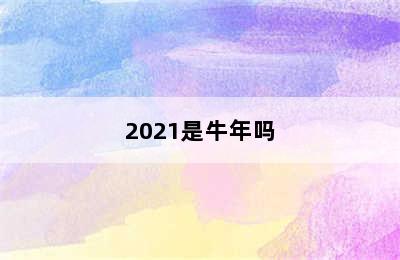 2021是牛年吗