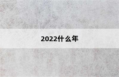 2022什么年