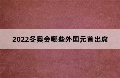 2022冬奥会哪些外国元首出席