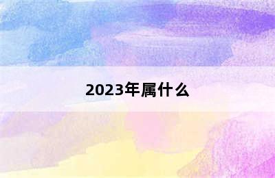 2023年属什么