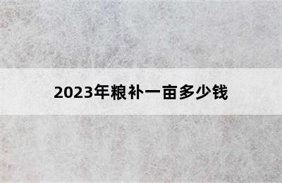 2023年粮补一亩多少钱