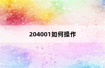 204001如何操作