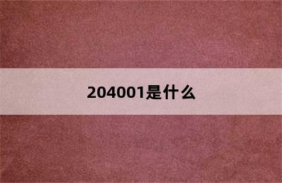 204001是什么