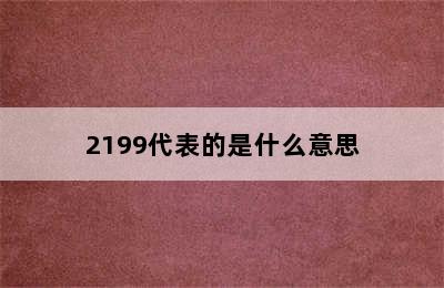 2199代表的是什么意思