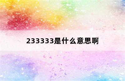 233333是什么意思啊