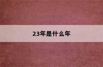 23年是什么年