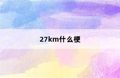 27km什么梗