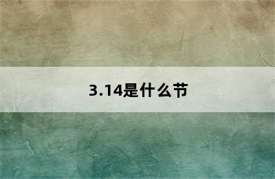 3.14是什么节