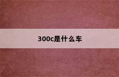 300c是什么车