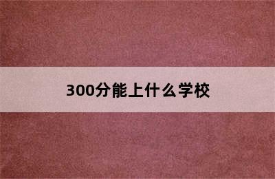 300分能上什么学校