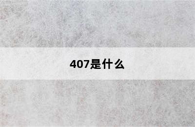 407是什么