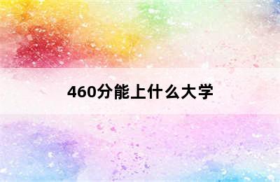 460分能上什么大学