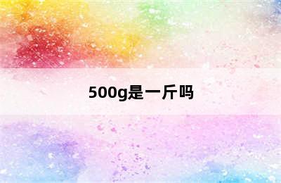 500g是一斤吗