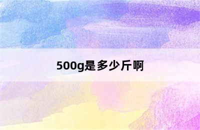 500g是多少斤啊