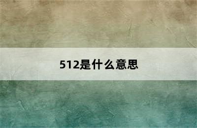 512是什么意思