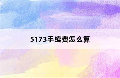 5173手续费怎么算