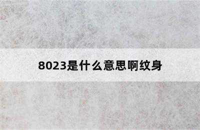 8023是什么意思啊纹身