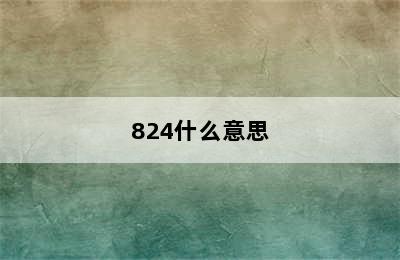 824什么意思