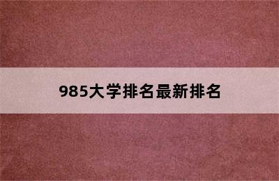 985大学排名最新排名