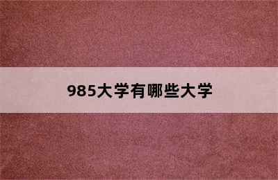 985大学有哪些大学