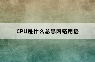 CPU是什么意思网络用语