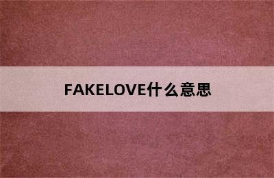 FAKELOVE什么意思