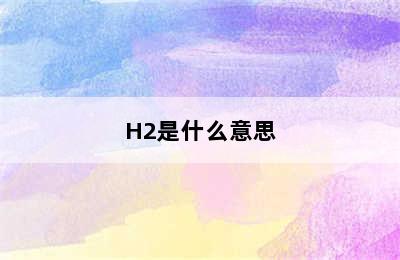 H2是什么意思