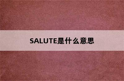 SALUTE是什么意思