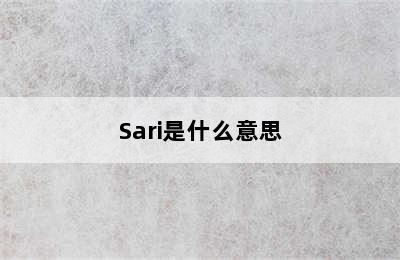 Sari是什么意思