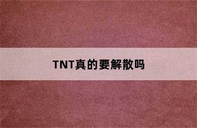 TNT真的要解散吗